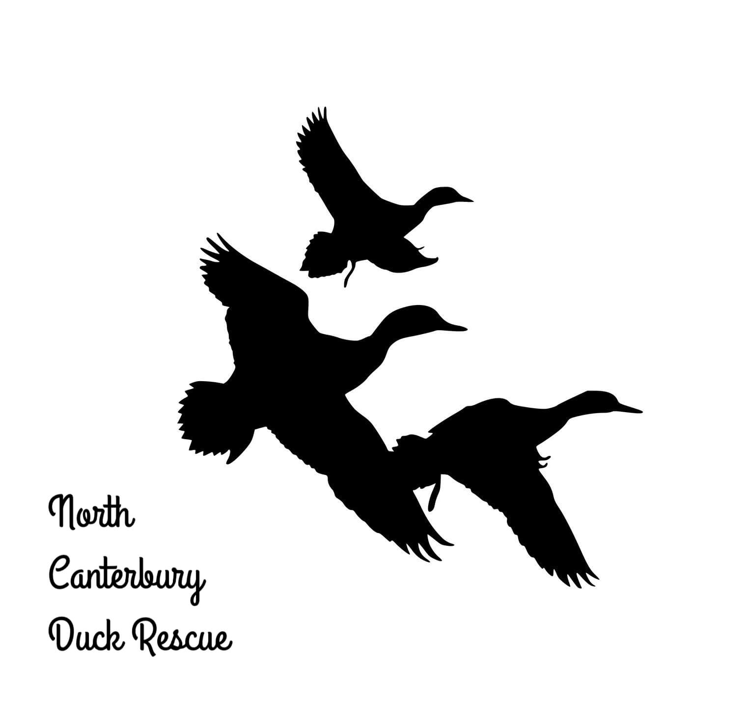 North Canterbury Duck Rescue 